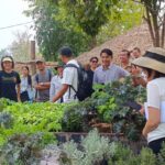 ALiSEA Network organized its First Regional General Assembly