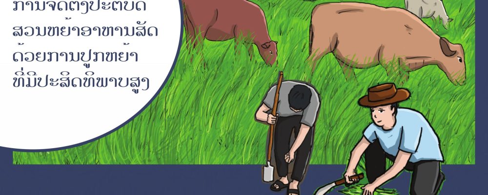The Enhancing Nutrition of Upland Farming Families” (ENUFF)