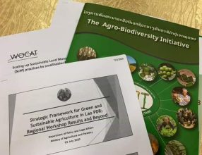 Green and Sustainable Agriculture Policy Framework Discussions, 3 June 2020, Lao PDR