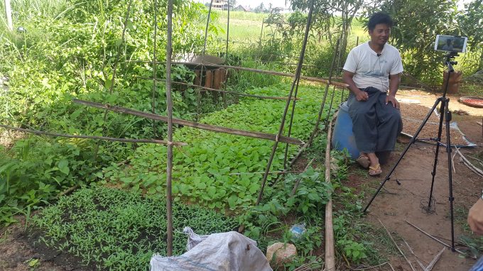 Kyaw Myo Thu Farm