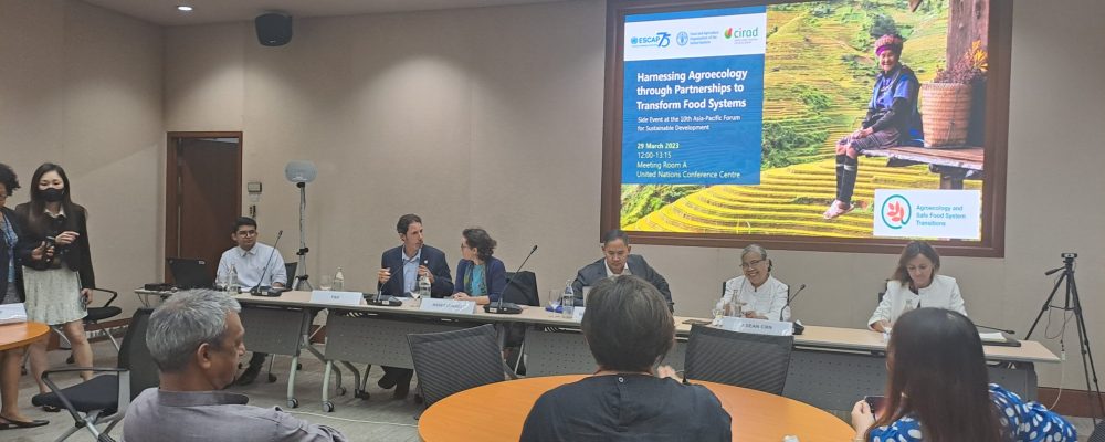 ALiSEA participation to the Asia and Pacific Forum on Sustainable Development 2023