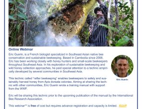 Online Webinar: INTRODUCTION TO RAFTER BEEKEEPING, Jan 21, 2021, 03:00 PM in Bangkok