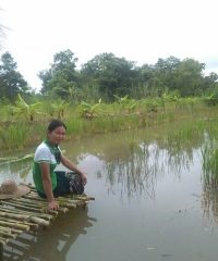 Phomalok farm