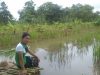 Phomalok farm