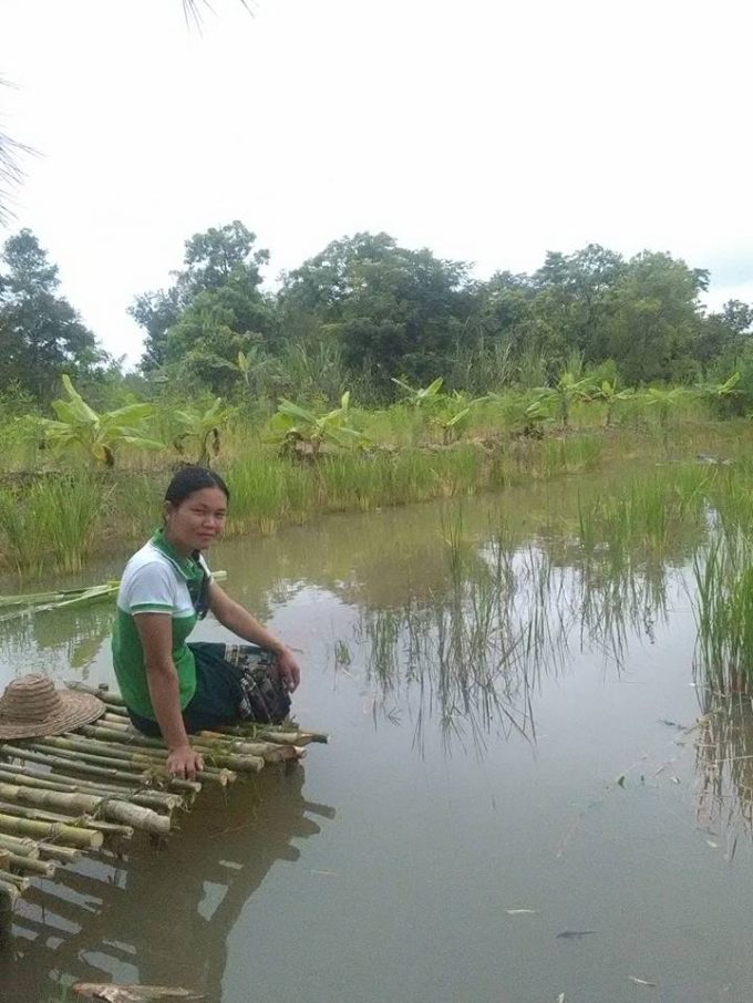 Phomalok farm