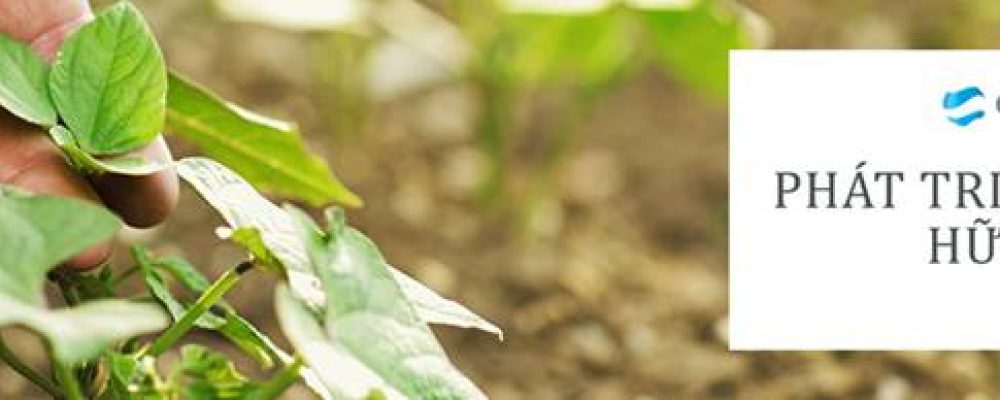 ORGANIC AGRICULTURAL DEVELOPMENT WORKSHOP IN VIETNAM, 28 March 2019, Vietnam