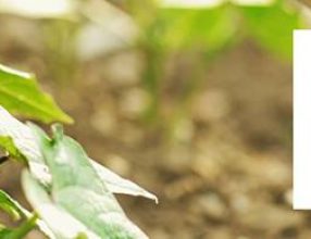 ORGANIC AGRICULTURAL DEVELOPMENT WORKSHOP IN VIETNAM, 28 March 2019, Vietnam