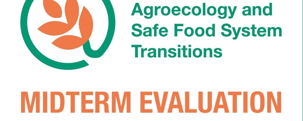ASSET Project Midterm Evaluation – Call for expression of Interest