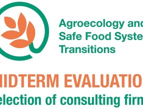 ASSET Project Midterm Evaluation – Call for expression of Interest