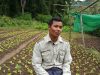 U Khin maung farm