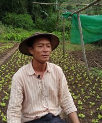 Tin Hla farm