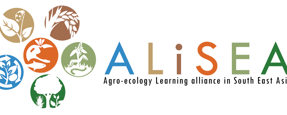 Internship opportunity: ALiSEA website content manager (full time, Vientiane, Lao PDR)