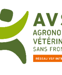 ALiSEA SGF: Strengthening organic sesame supply chain in Preah Vihear province by integrating AE practices and linking the products to markets (funded by Uni4Coop)