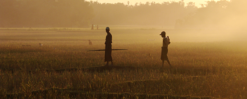 Youth and Agroecology Short Film Competition, call for submission