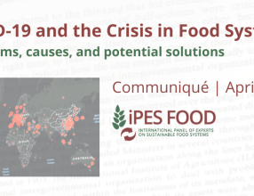Relevant articles addressing the relationship between COVID19 crisis and the need to transition towards sustainable food systems