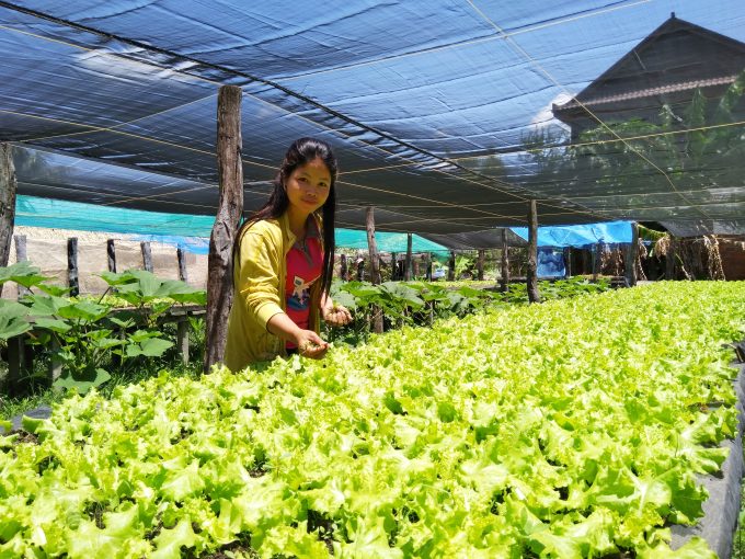 Chhengly Farm