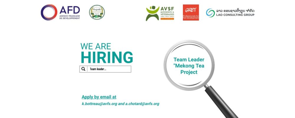 Team Leader “Mekong Tea Project” – AVSF in Laos