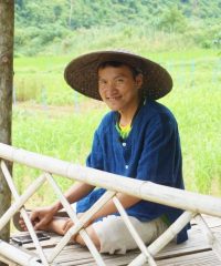 Green organic farm
