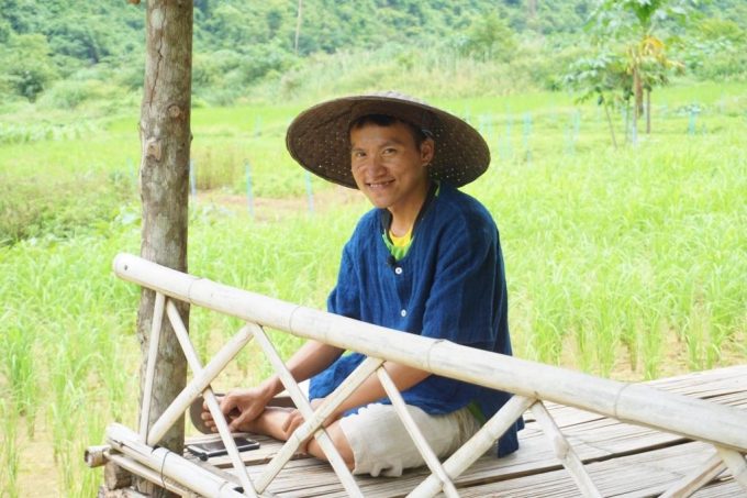 Green organic farm