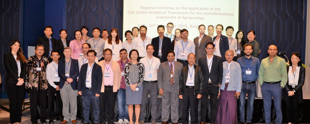 Regional workshop on the Application of the FAO Global Analytical Framework for the multidimensional assessment of Agroecology, 24-26/09/2019 Bangkok, Thailand