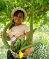 Davon Farm