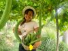 Davon Farm