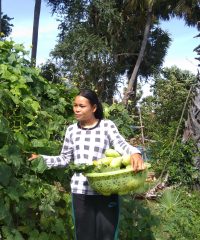 Duch Ses Farm