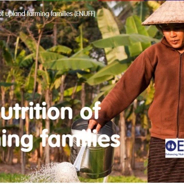 Short term National or International Consultant – SNV Laos