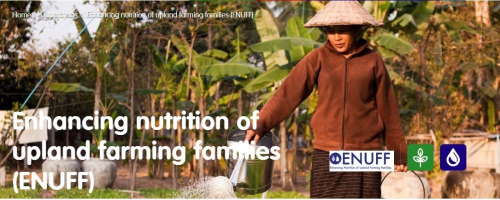 Short term National or International Consultant – SNV Laos