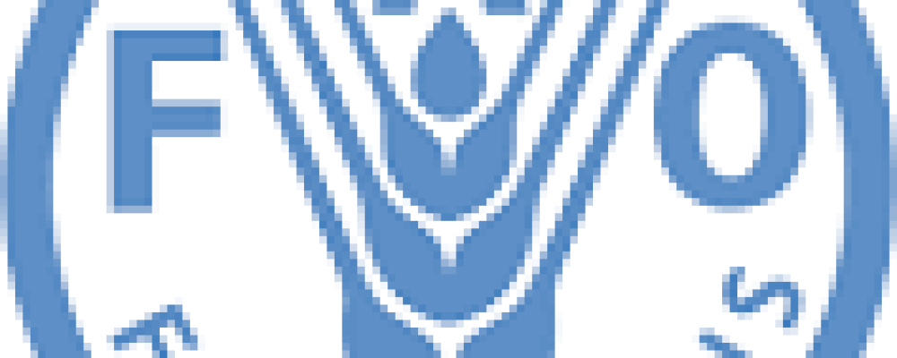 Vacancy Myanmar – FAO Policy Officer P4 – EU/FAO Programme on sustainable agriculture, food security and nutrition