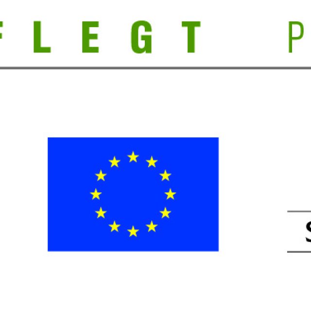 Project Manager, Lao PDR