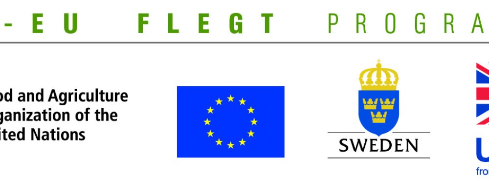 Project Manager, Lao PDR