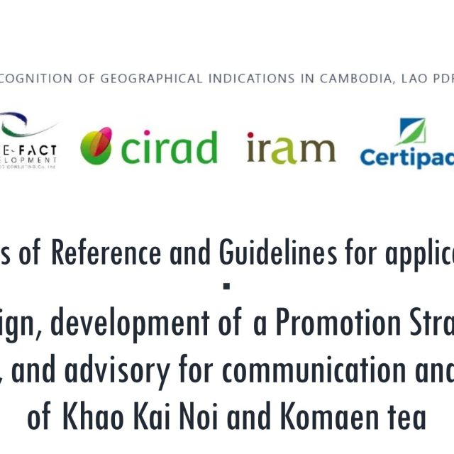 Call for application: Market communication consultant / firm – GI regional project