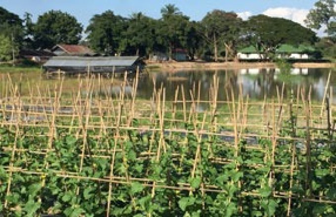 Huaysorn-Huaysua Agriculture Development and Service Center