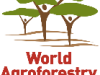 Agroforestry Alternatives to Shifting Cultivation in Upland Myanmar, Chin State