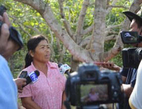 Field Visit Catches Journalists’ Interest to Report on Agroecology in Cambodia