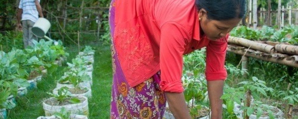 Photo contest “Picturing agroecology initiatives in the Mekong Region”