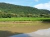 Lee 7 farm