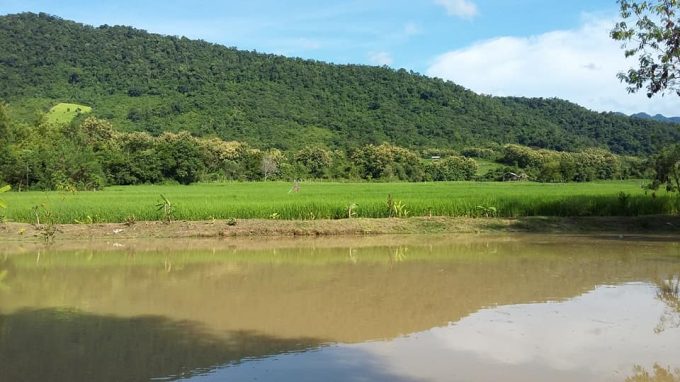Lee 7 farm