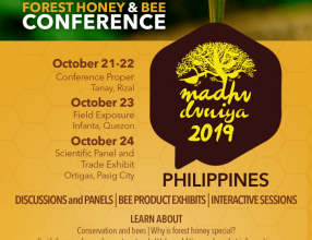 Madhu Duniya 2019 – Conservation and Characterization: Asian Bees Unique but Threatened, Oct 21-24, 2019 PHILIPPINES