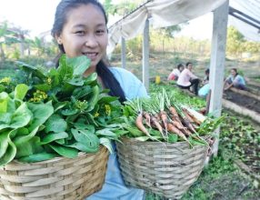 Youth engage for development in Laos