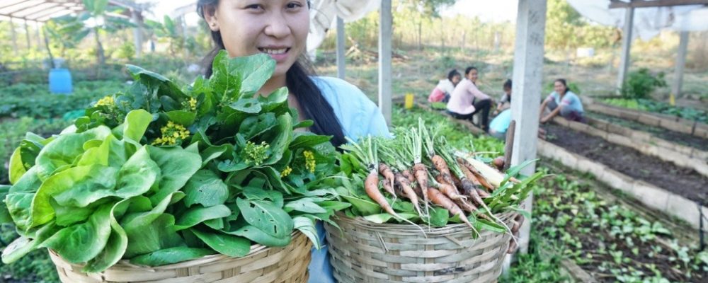 Youth engage for development in Laos