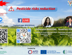 Pesticide Risk Reduction Talk in Laos
