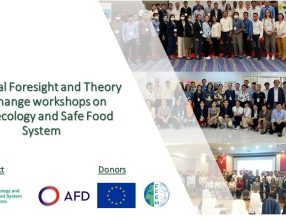 National Foresight and Theory of Change workshops on Agroecology and Safe Food System