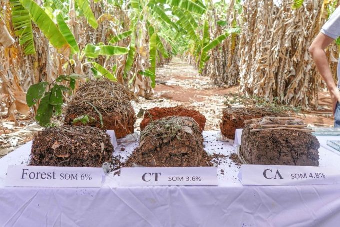 Conservation Agriculture and Sustainable Intensification Consortium (CASIC), Cambodia
