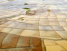 Environmental Change, Agricultural Sustainability, and Economic Development in the Lower Mekong Basin conference: Call for papers