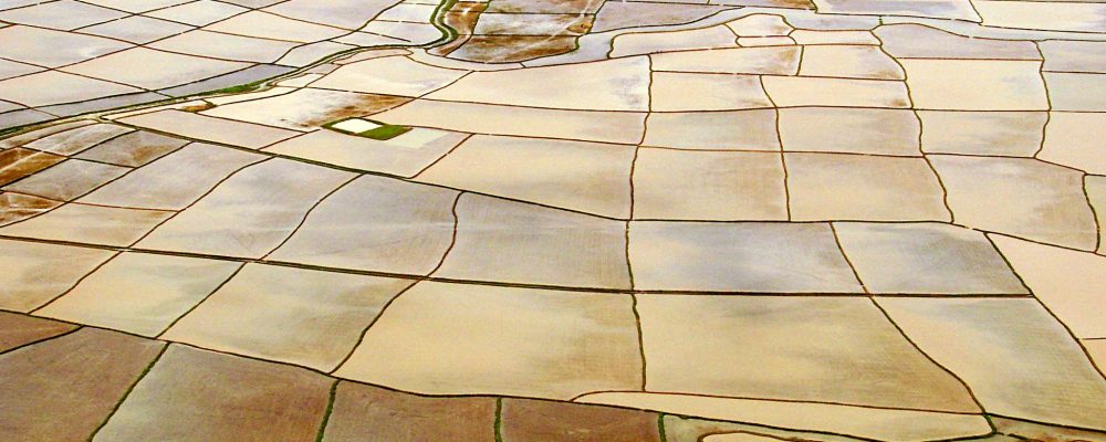 Environmental Change, Agricultural Sustainability, and Economic Development in the Lower Mekong Basin conference: Call for papers