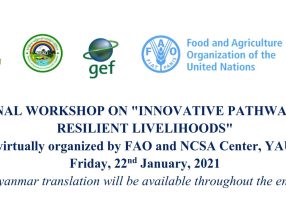 National workshop on “Innovative Pathways to Climate Resilient Livelihoods”, Myanmar, 22 January 2021