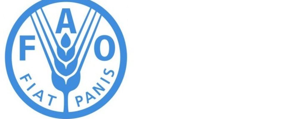THE FAO’S ALLIANCE WITH THE PESTICIDE LOBBY WORRIES SCIENTISTS AND NGOS.