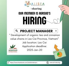 Project Manager: Development of organic tea and cinnamon value chains in Lao Cai Province